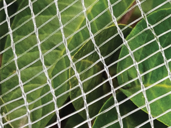 Διαφανές δίχτυ χαλαζιού για οπωρώνες HDPE για μηλιές