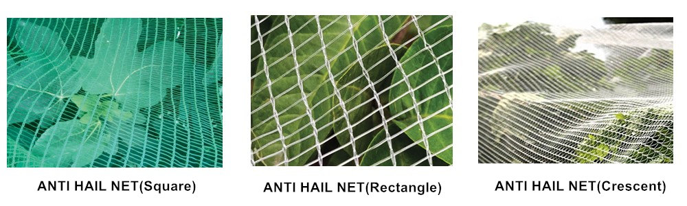 three styles of anti hail net